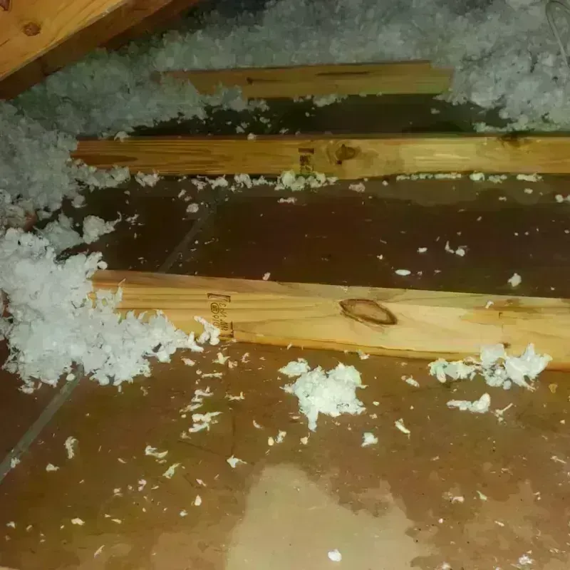 Attic Water Damage in Marengo, IL