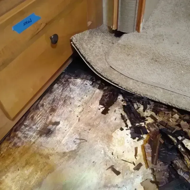 Wood Floor Water Damage in Marengo, IL